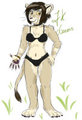 My new Fursona JK Lioness