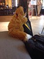 Back From Anthrocon