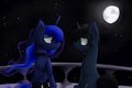 Midnight Song and Luna