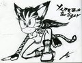-X Yaneza the Panther X- by AetosAchlys