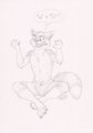 Not A Fox