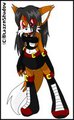 Tabby Tab Fox! 