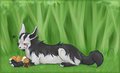 Uncle Mightyena - insomniac