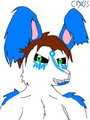 Just a quick, sloppy doodle of my sona's mug by CrossTheRabbit