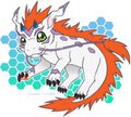 Gomamon Ryuunu - Adoptable for sale (TAKEN) by BlackCachomon