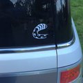 "Sari Tail Swoosh" Vinyl Decal