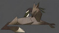 Magpie