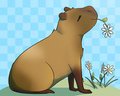 [Shaded][P] Carelessbear