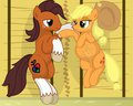 Preggy Applejack x Nikula Alder