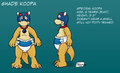 Shade Koopa