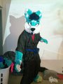 MaxFox Partial(WIP)85% done 