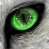 Eye-Con -Commission-  by AvanyaePromise
