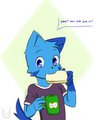 Polycats Cats #4