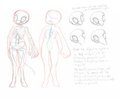 Chimera info thing