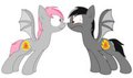 Shade meets MoleShade