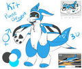 Meet  Kit the genderfluid model Plane dragon!