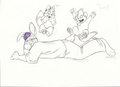 Bouncy bunny