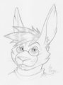 Boom! Headshot! by Cadyr
