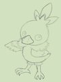 Torchic