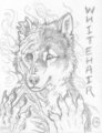 Whitehair Force Transformed (RMFC 2009 Badge) by Dark Natasha