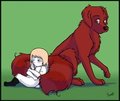 Panda and Nello