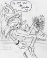 Sonadow-FML