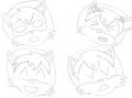 My Four Expressions