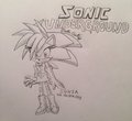 Sonic Underground Sonia