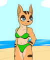 High rise bikini Cali