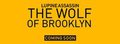 Brooklyn Strong