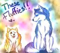 These...dogs!