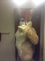 Stacey Foxx fursuit pic