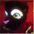 Dont google your furself " vine"