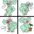 Tabi's Gotta Go