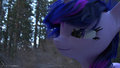 Twilight in a forest by skunkfrakker