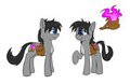 Pocket Pony