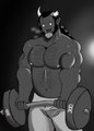 Pavo Lifting