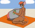 Lab Mouse at the Beach