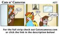 Cats n Cameras Strip #277 - Meanwhile at Jessi's