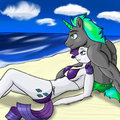 A day at the Beach