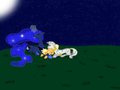 Under the Stars