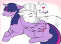 Lovers Surprise