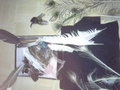 Feathers