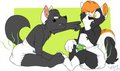 What's worse? by toyapup