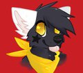 Stars in your Eyes, Kid. by toyapup