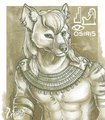 Old Art Repost: Osiris badge by hyenafur