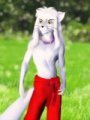 Inuyasha as furry 