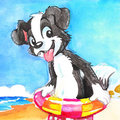 Roni on the beach