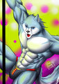 Dancing pole huskies