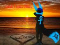 Isolation, And Thoughts by TheHuntingWolf